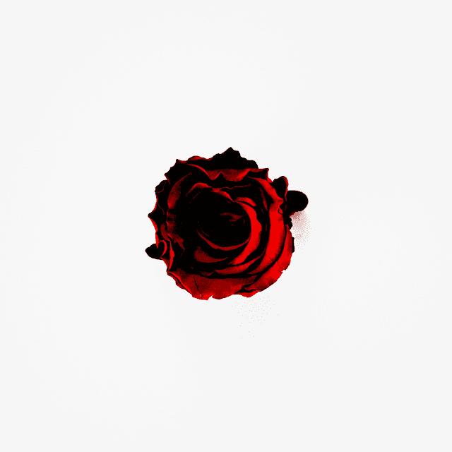 i miss u album cover.